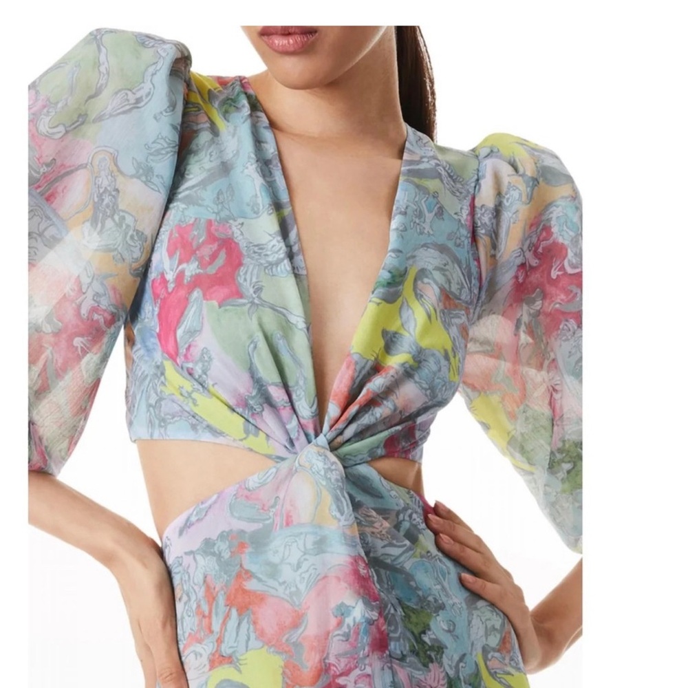 Alice + Olivia - Katia Twist-Front Floral Cutout High Low Dress